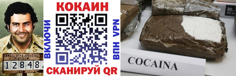 COCAIN Fish Scale  Сочи 