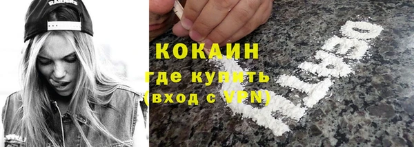 винт Алзамай