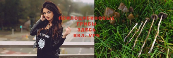 винт Алзамай