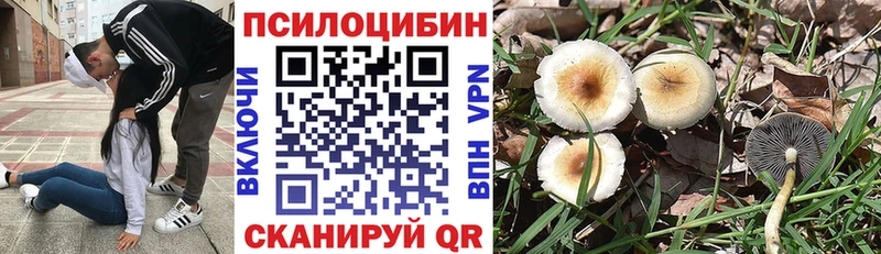 продажа наркотиков  Сочи  Галлюциногенные грибы Magic Shrooms 