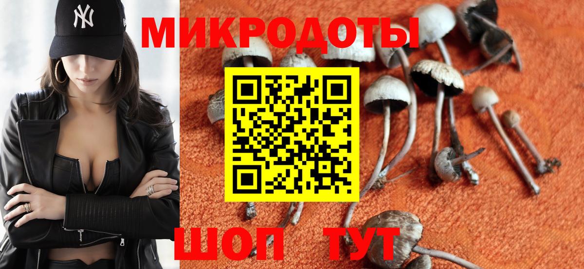 Псилоцибиновые грибы Psilocybe Сочи